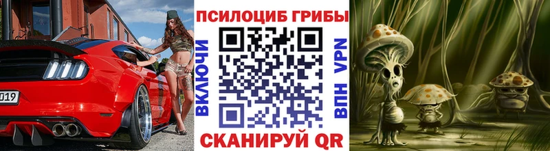 закладка  kraken ТОР  Галлюциногенные грибы Psilocybe  маркетплейс наркотические препараты  Мантурово 
